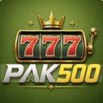 PAK500 Game
