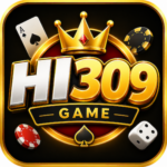 HI309 game